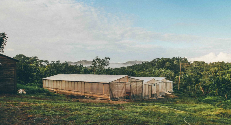 Greenhouse in the Dominican Republic