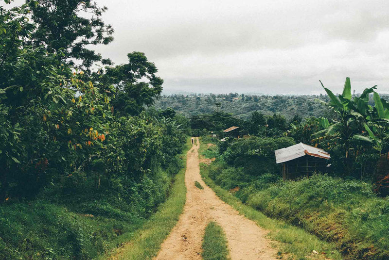 Farm in Uganda with dirt road