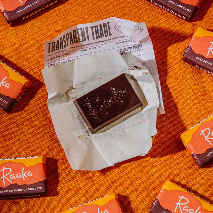 Pumpkin Crunch Minis Bag - Raaka Chocolate